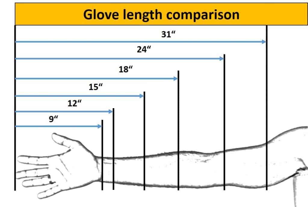 Glove length comparison