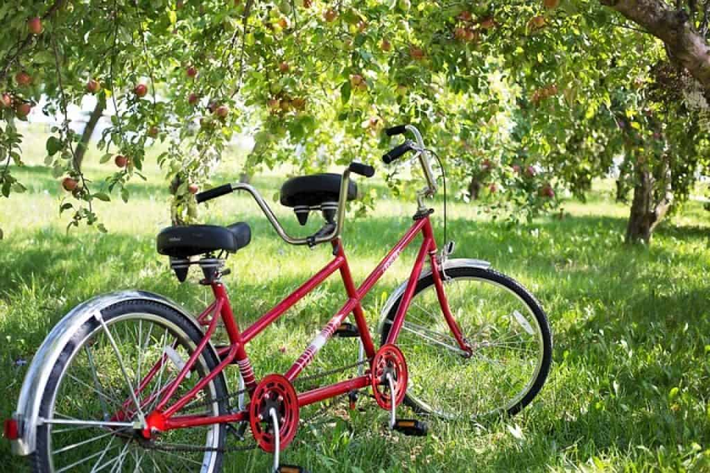 Red Tandem bike